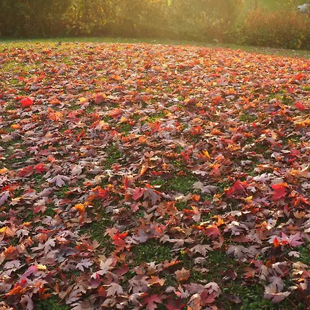 Casa Tara Lejlighed Döbriach