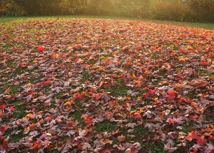 Casa Tara Apartament Döbriach
